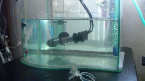 Egg Hatch/Fry rearing tank for desert gobies